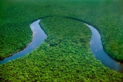 Congo River.jpg