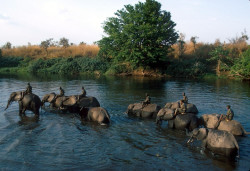 Garamba National Park.jpg